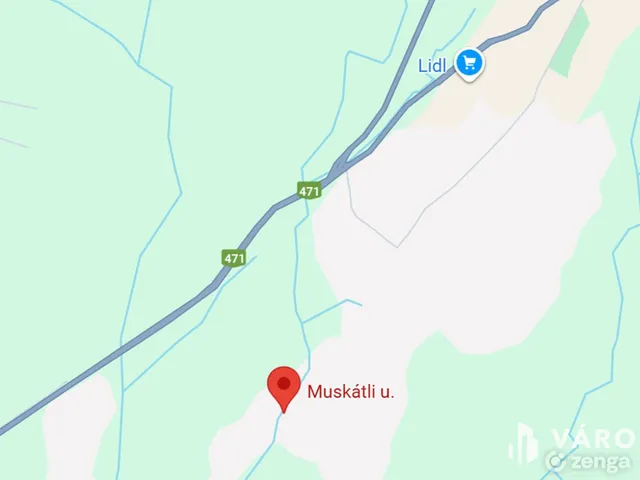 Eladó mezőgazdasági ingatlan Hajdúsámson, Sámsonkert 4293 nm