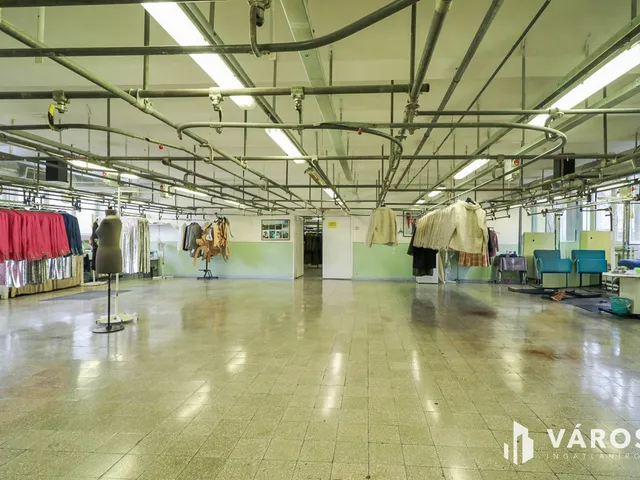 Eladó kereskedelmi és ipari ingatlan Berettyóújfalu 3030 nm