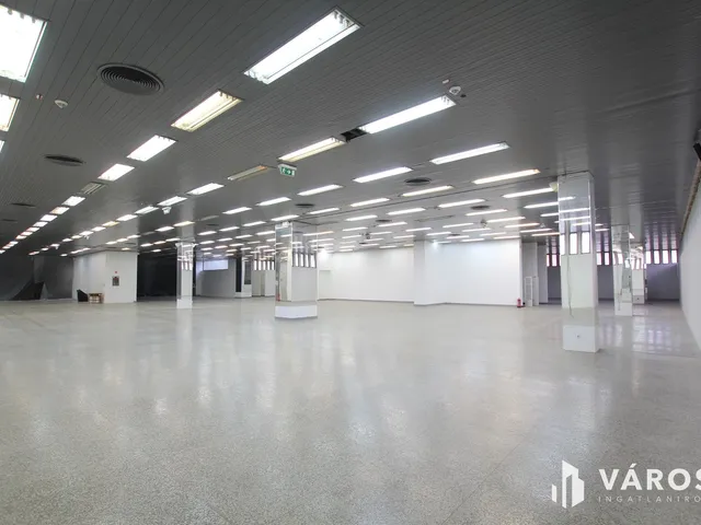 Kiadó kereskedelmi és ipari ingatlan Békéscsaba, Belváros 1580 nm
