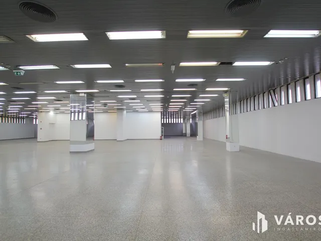 Kiadó kereskedelmi és ipari ingatlan Békéscsaba, Belváros 1580 nm