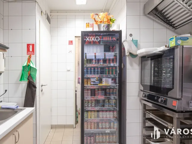 Kiadó kereskedelmi és ipari ingatlan Szeged, Rókus 18 nm