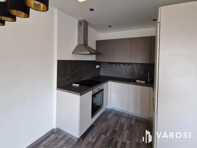 Kiadó lakás Győr, Belváros 43 nm