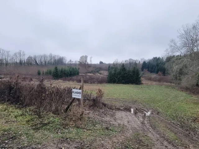 Eladó telek Liszó 9766 nm