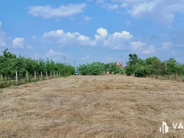 Eladó mezőgazdasági ingatlan Szarvas 78 nm