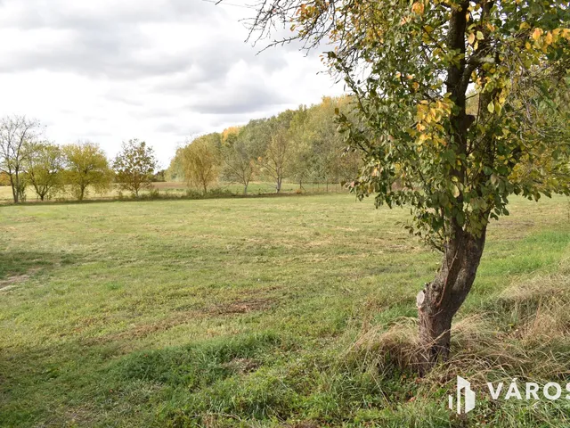 Eladó telek Gyula, Szentpálfalva 4661 nm