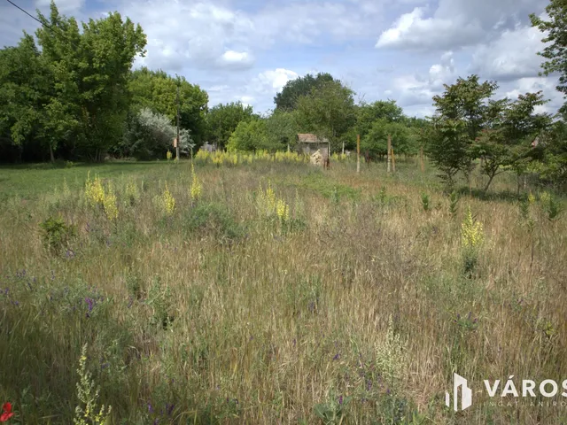 Eladó mezőgazdasági ingatlan Sándorfalva 2418 nm