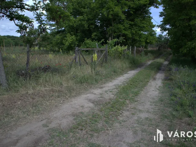 Eladó mezőgazdasági ingatlan Sándorfalva 2418 nm