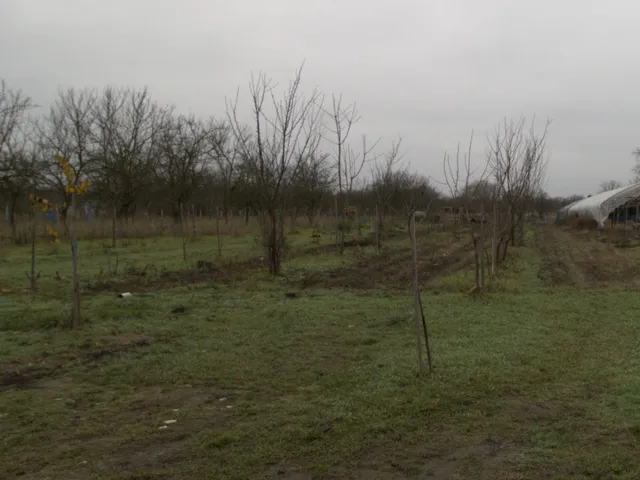 Eladó mezőgazdasági ingatlan Békés 40 nm