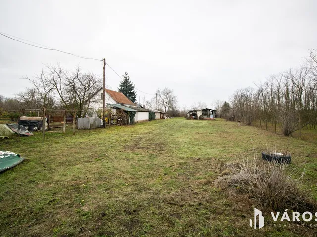 Eladó mezőgazdasági ingatlan Orosháza 1215 nm