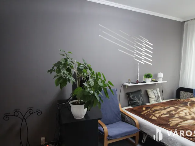 Eladó lakás Hódmezővásárhely 47 nm