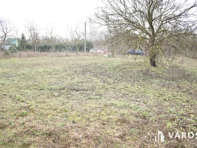 Eladó mezőgazdasági ingatlan Gyula, Paradicsom 951 nm