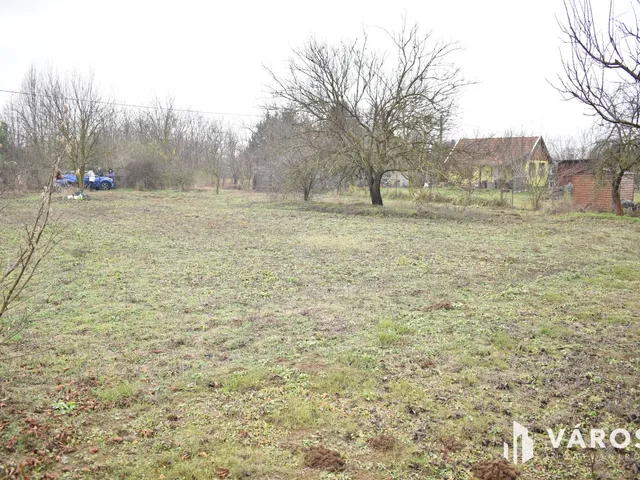 Eladó mezőgazdasági ingatlan Gyula, Paradicsom 951 nm