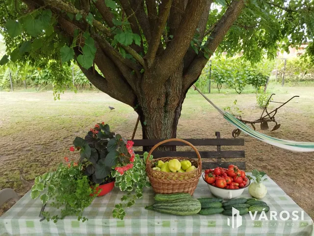 Eladó ház Debrecen, Gáspár György-kert 70 nm