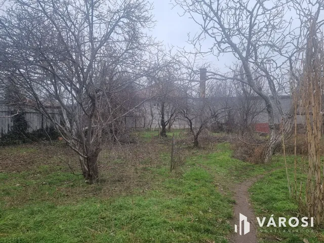 Eladó telek Vecsés 1308 nm