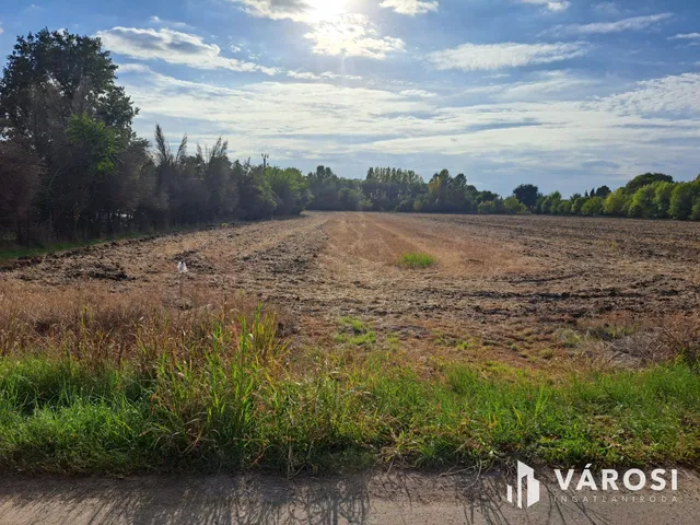 Eladó telek Békéscsaba 5755 nm