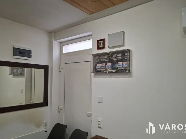 Eladó kereskedelmi és ipari ingatlan Várpalota 245 nm