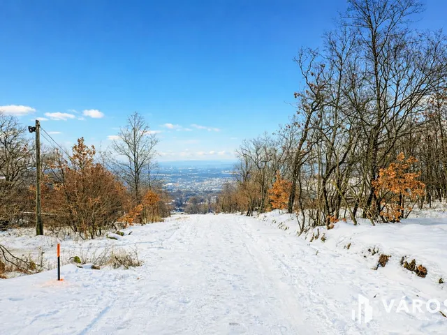 Eladó telek Szentendre 2125 nm
