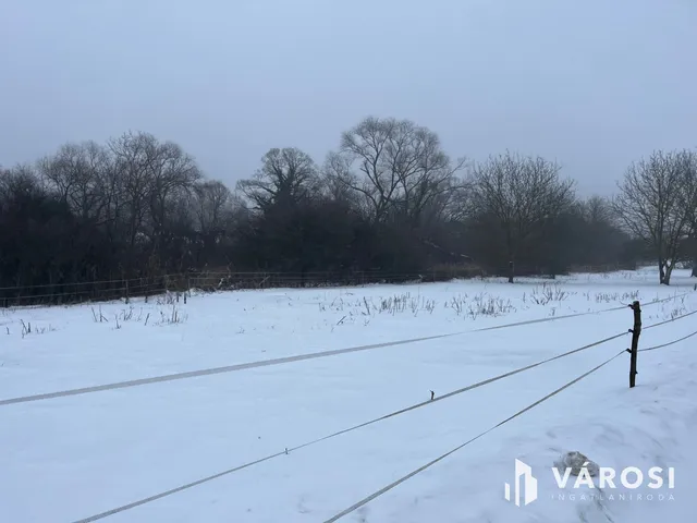 Eladó telek Budakalász 3000 nm