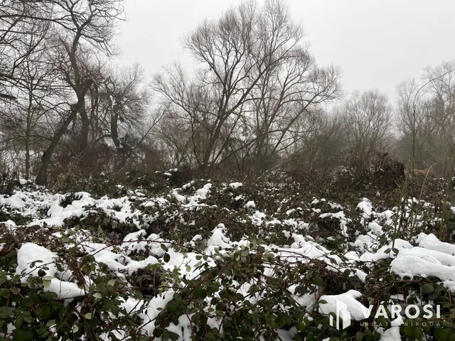 Eladó telek Budakalász 3000 nm