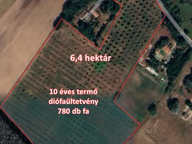 Eladó ház Algyő 75000 nm