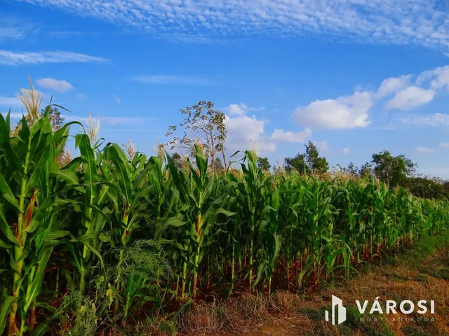 Eladó mezőgazdasági ingatlan Kardos 267708 nm