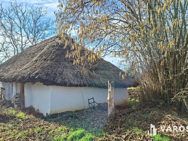 Eladó mezőgazdasági ingatlan Gecse 1701 nm