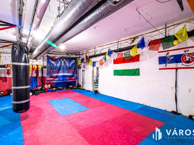 Eladó kereskedelmi és ipari ingatlan Budapest XIII. kerület, Újlipótváros 240 nm