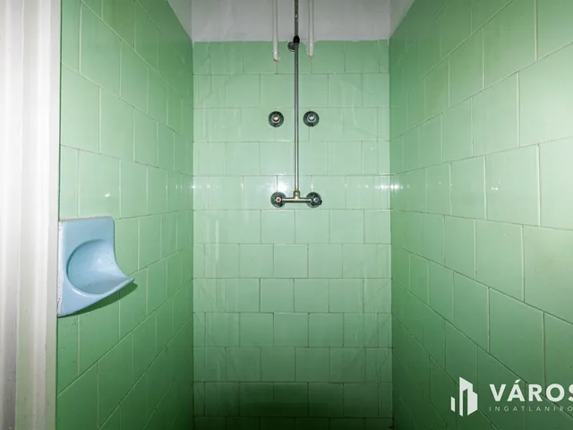 Eladó ház Medgyesbodzás 198 nm