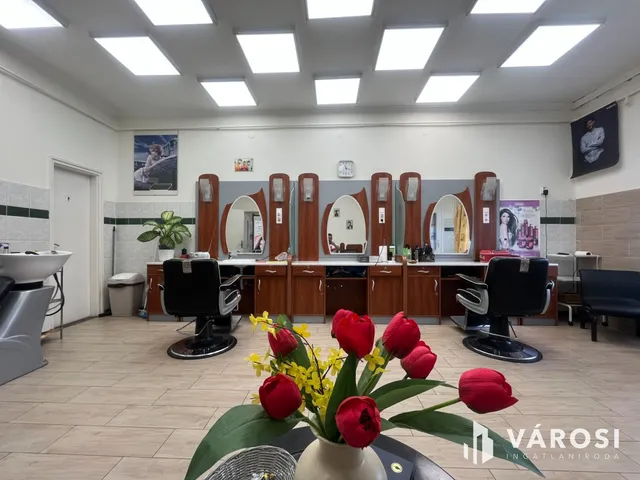 Eladó kereskedelmi és ipari ingatlan Debrecen, Szabadságtelep 210 nm