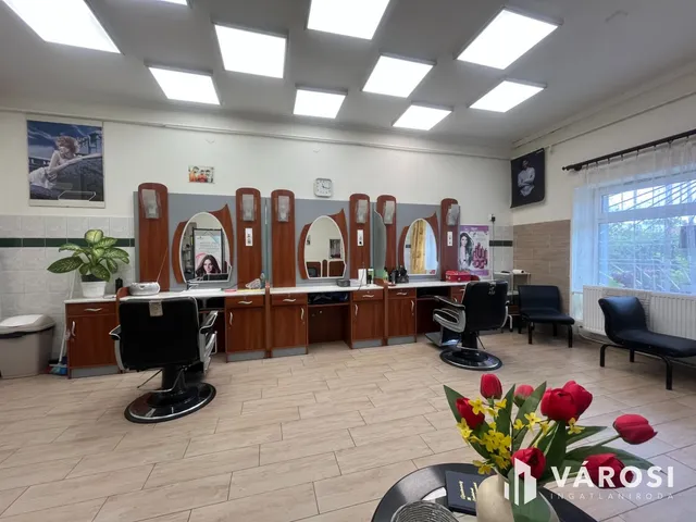 Eladó kereskedelmi és ipari ingatlan Debrecen, Szabadságtelep 210 nm