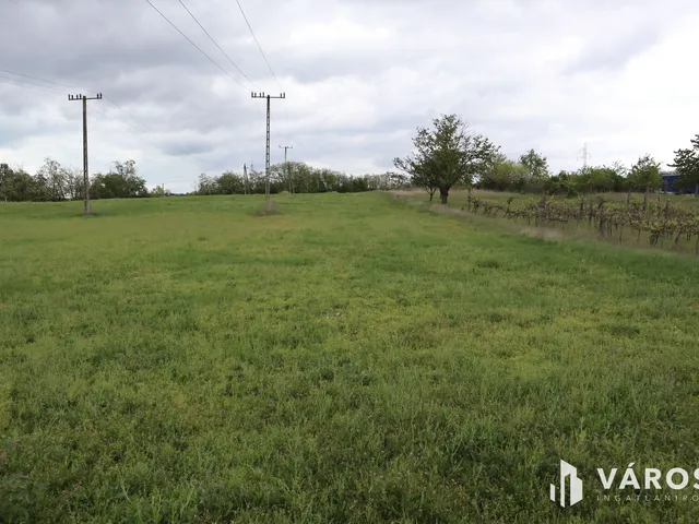 Eladó mezőgazdasági ingatlan Kőröshegy 1695 nm