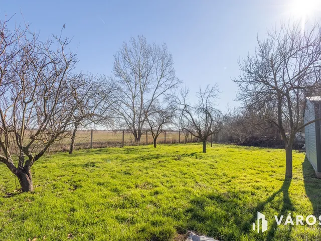 Eladó telek Hódmezővásárhely, Öregkishomok 790 nm
