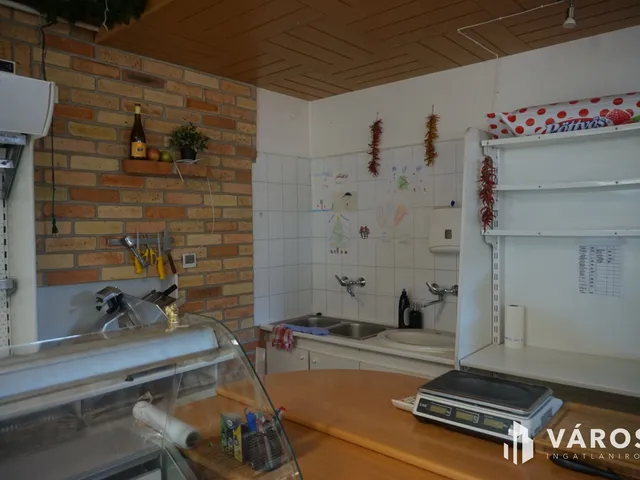 Eladó kereskedelmi és ipari ingatlan Örkény 168 nm