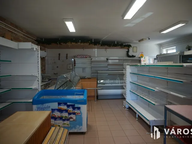 Eladó kereskedelmi és ipari ingatlan Örkény 168 nm