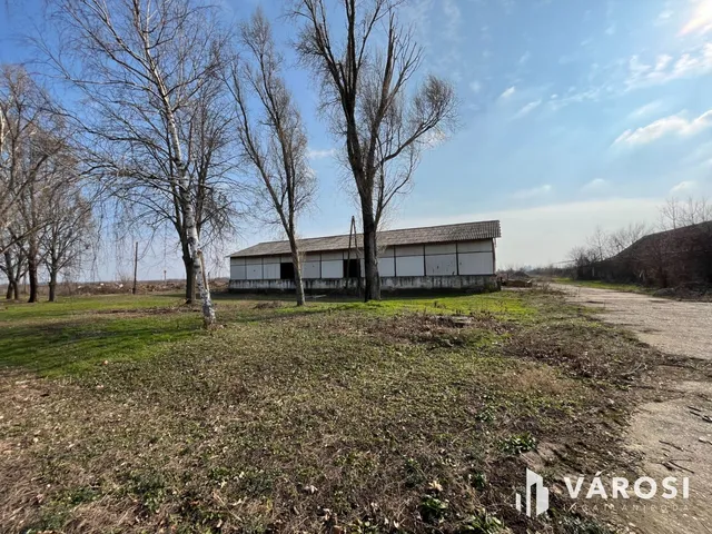 Eladó kereskedelmi és ipari ingatlan Debrecen, Ondód 395 nm