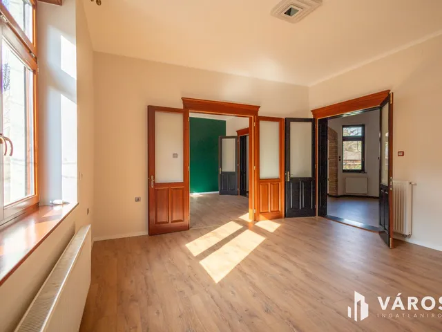 Kiadó ház Hódmezővásárhely, Belváros 228 nm