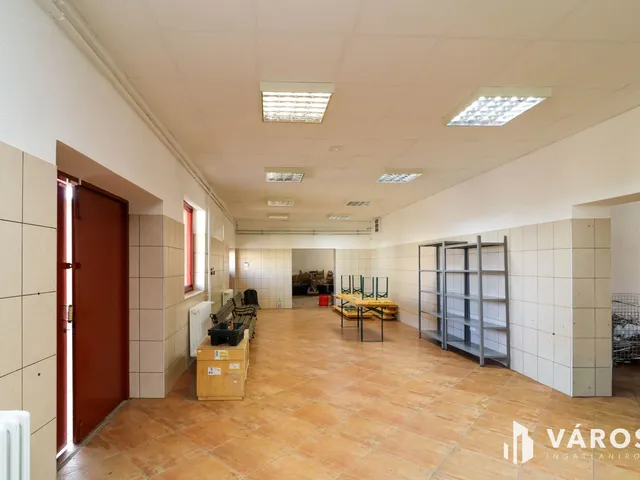 Kiadó kereskedelmi és ipari ingatlan Békéscsaba 170 nm