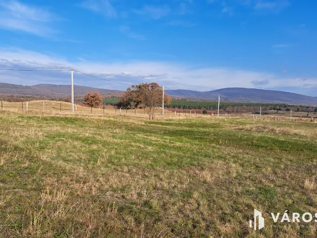 Eladó kereskedelmi és ipari ingatlan Márkó 11873 nm