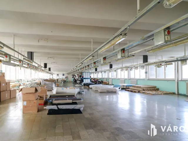 Eladó kereskedelmi és ipari ingatlan Berettyóújfalu 3030 nm