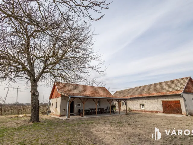 Eladó mezőgazdasági ingatlan Röszke 90 nm