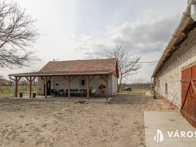 Eladó mezőgazdasági ingatlan Röszke 90 nm