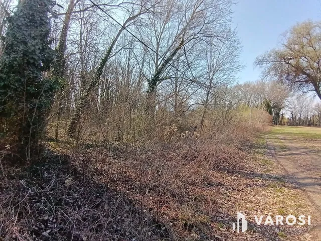 Eladó telek Dömsöd 1586 nm