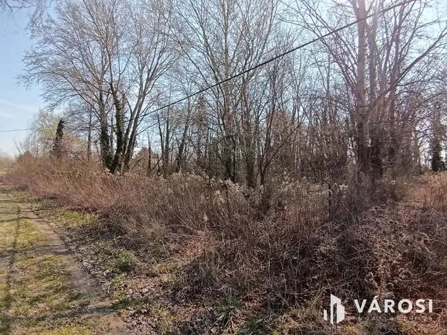 Eladó telek Dömsöd 1586 nm