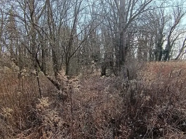 Eladó telek Dömsöd 1586 nm