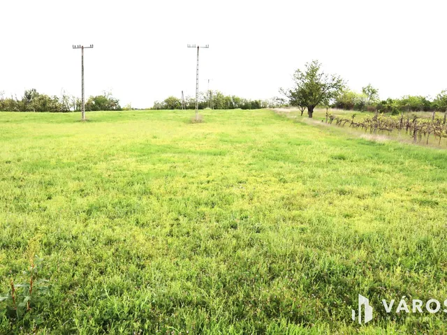 Eladó telek Kőröshegy 2004 nm