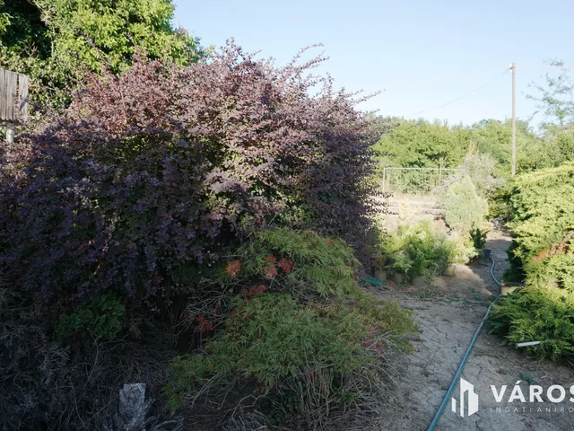 Eladó mezőgazdasági ingatlan Szeged, Újszőreg 1838 nm