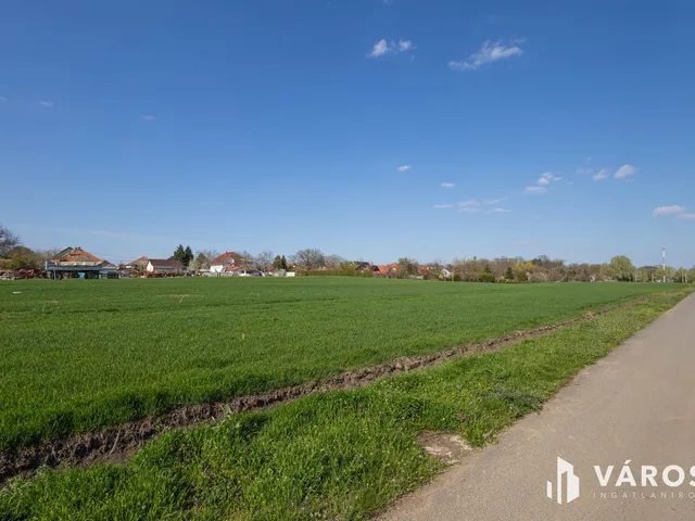 Eladó telek Deszk 892 nm