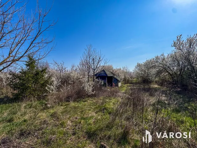 Eladó mezőgazdasági ingatlan Gyula, Újvári 868 nm