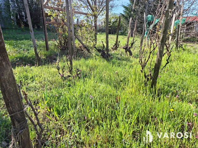 Eladó telek Alsóörs 627 nm