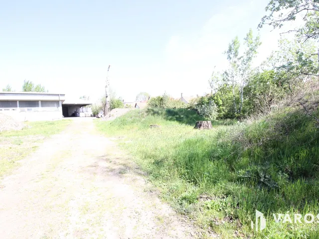 Kiadó kereskedelmi és ipari ingatlan Hódmezővásárhely 10000 nm